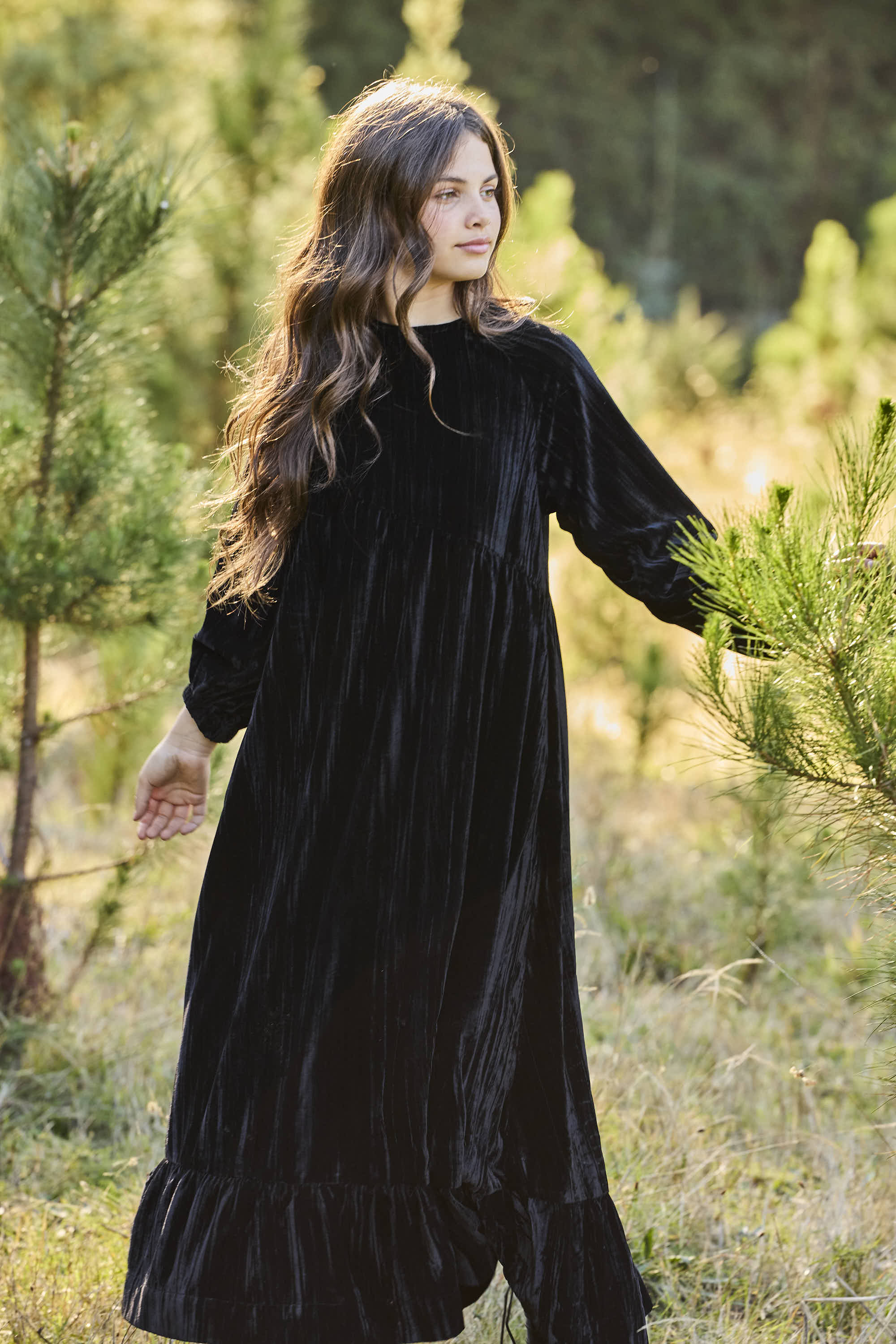 31256ChloeCrushedvelvetmaxi_3.jpg