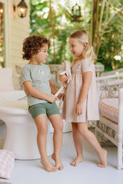 Girls Short Sleeve Dress - Mauve - Gingham Owl