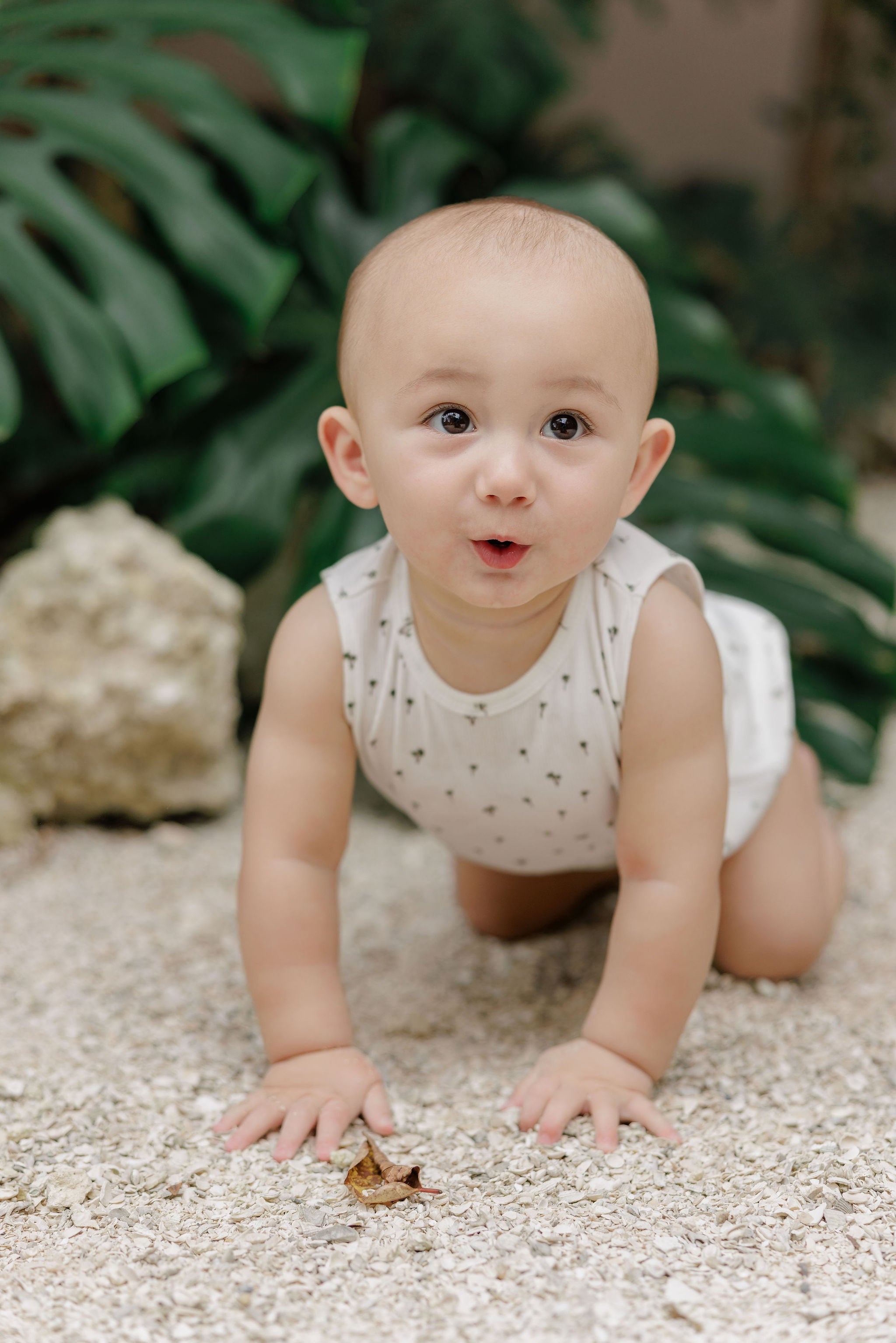 Baby Boy Romper - Ivory - Printed Palm Trees