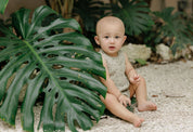 Baby Boy Romper - Sage - Printed Palm Trees