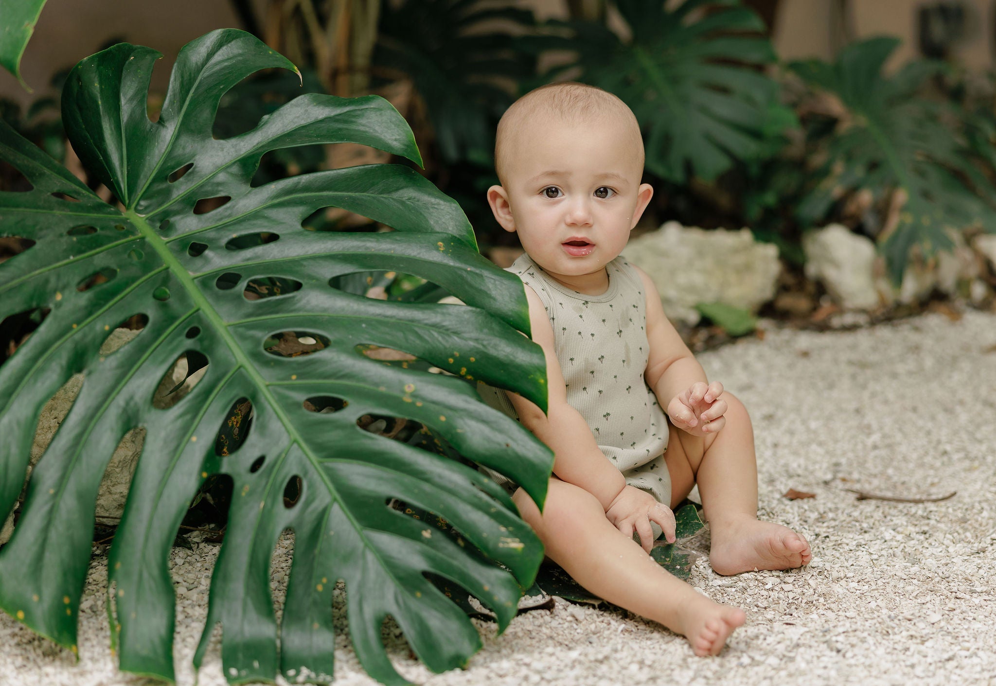 Baby Boy Romper - Sage - Printed Palm Trees