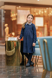 DENIM STRIPED COLLAR DRESS
