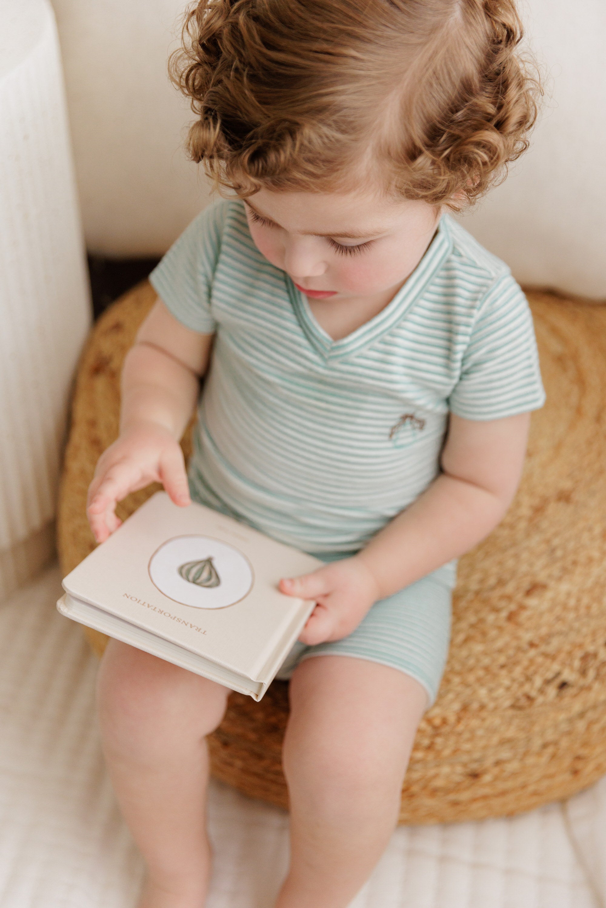 Metallic Stripe Collection - 2Pc Set
