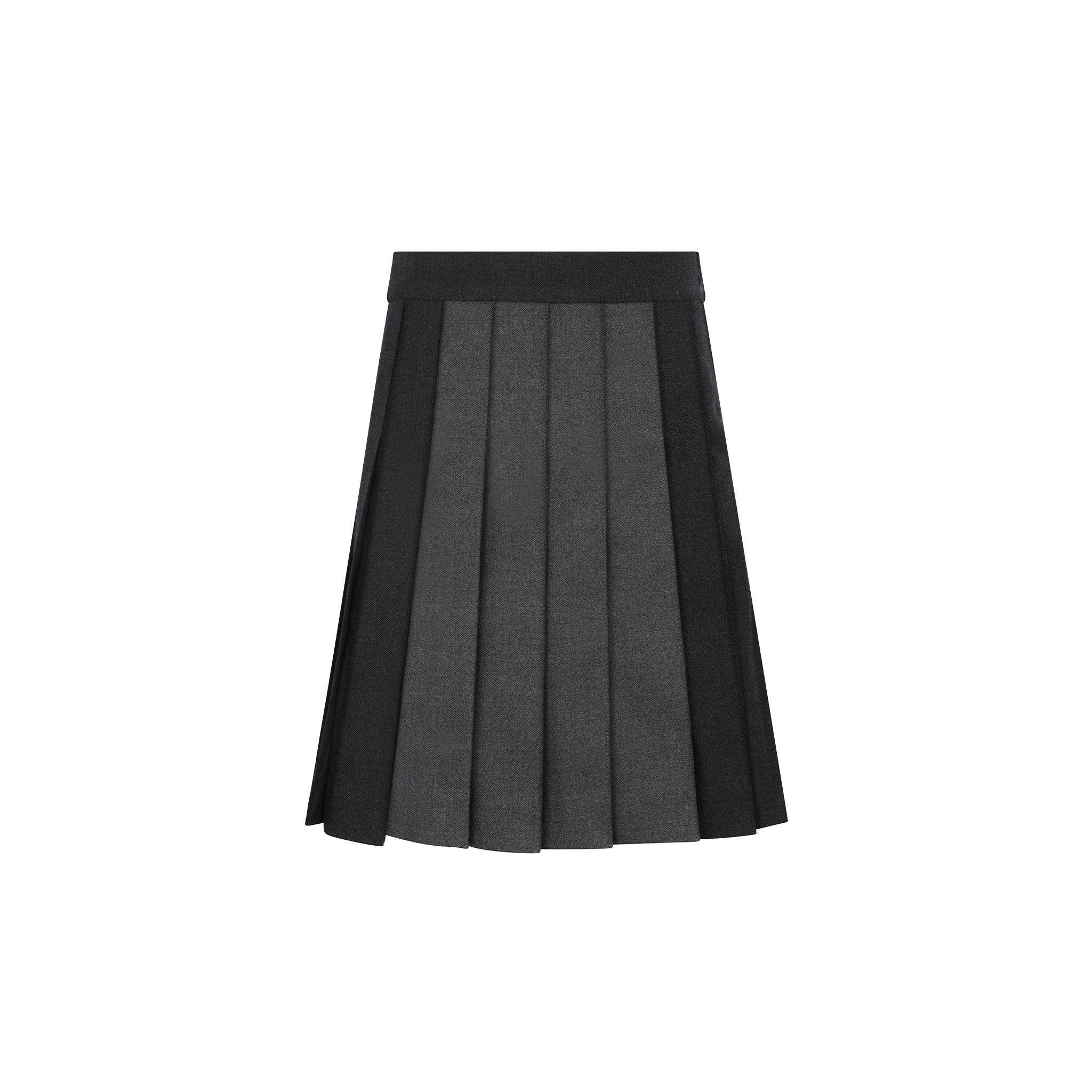Two-tone Pleated Skirt