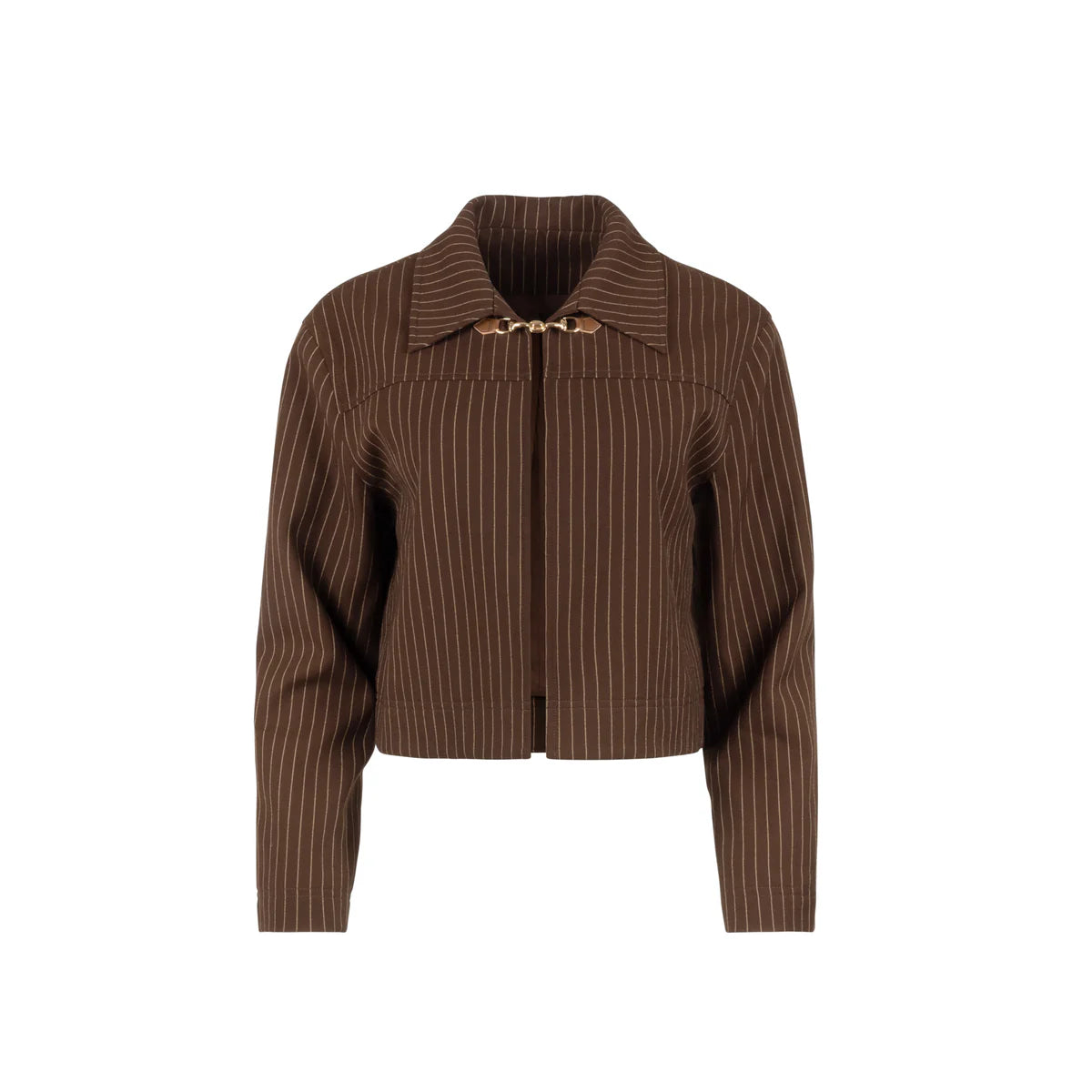 Pinstripe jacket brown