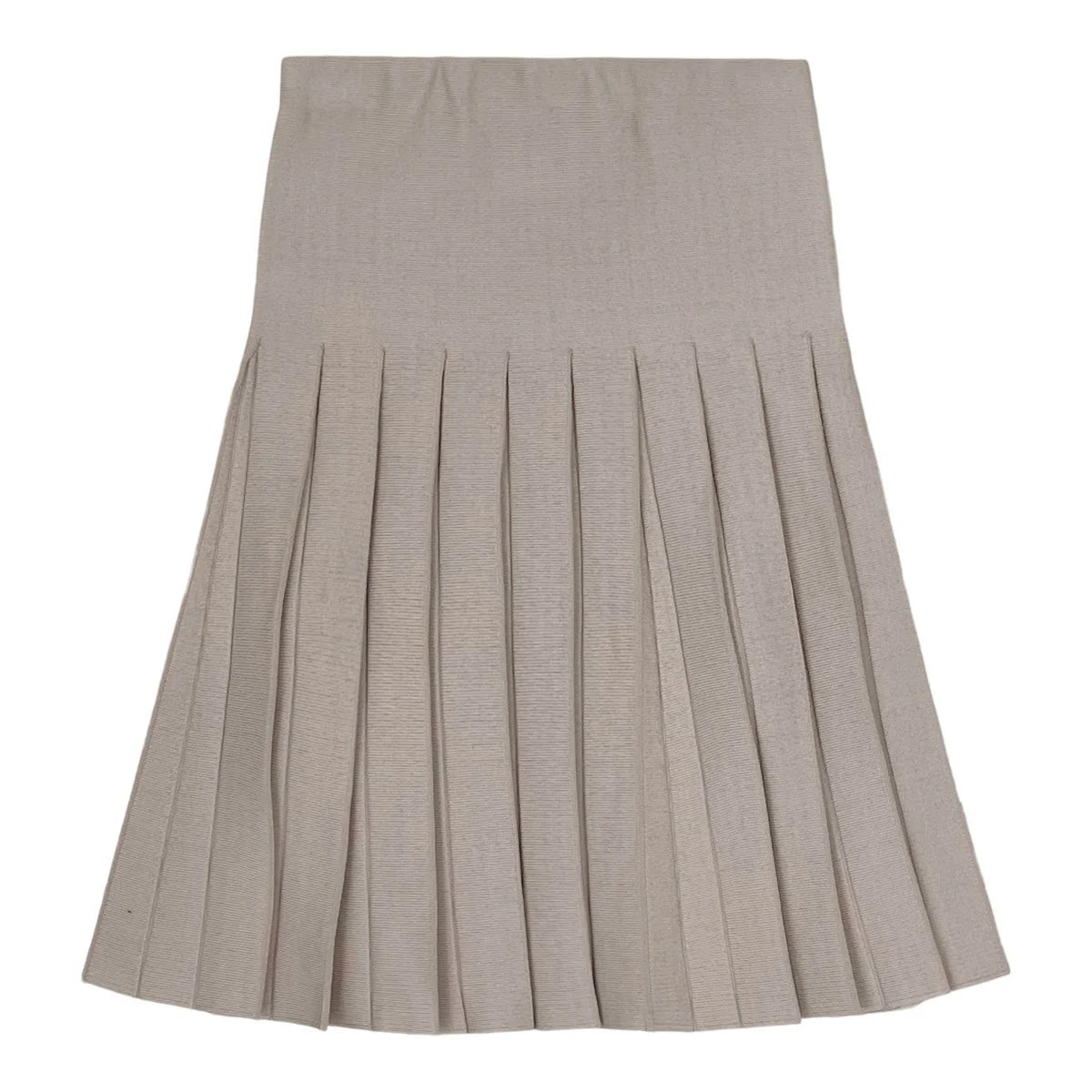 Pleated Skirt