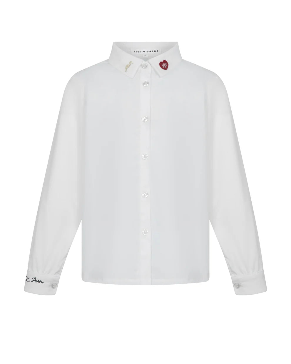 Girl's Elegant Embroidered Shirt