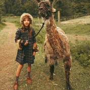 Velvet Plaid Dress