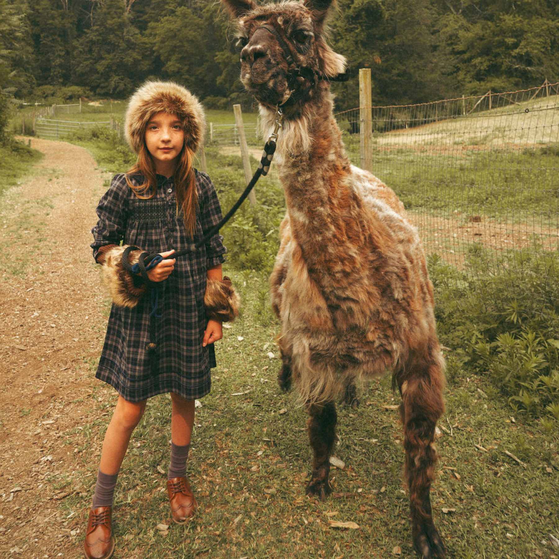 Velvet Plaid Dress