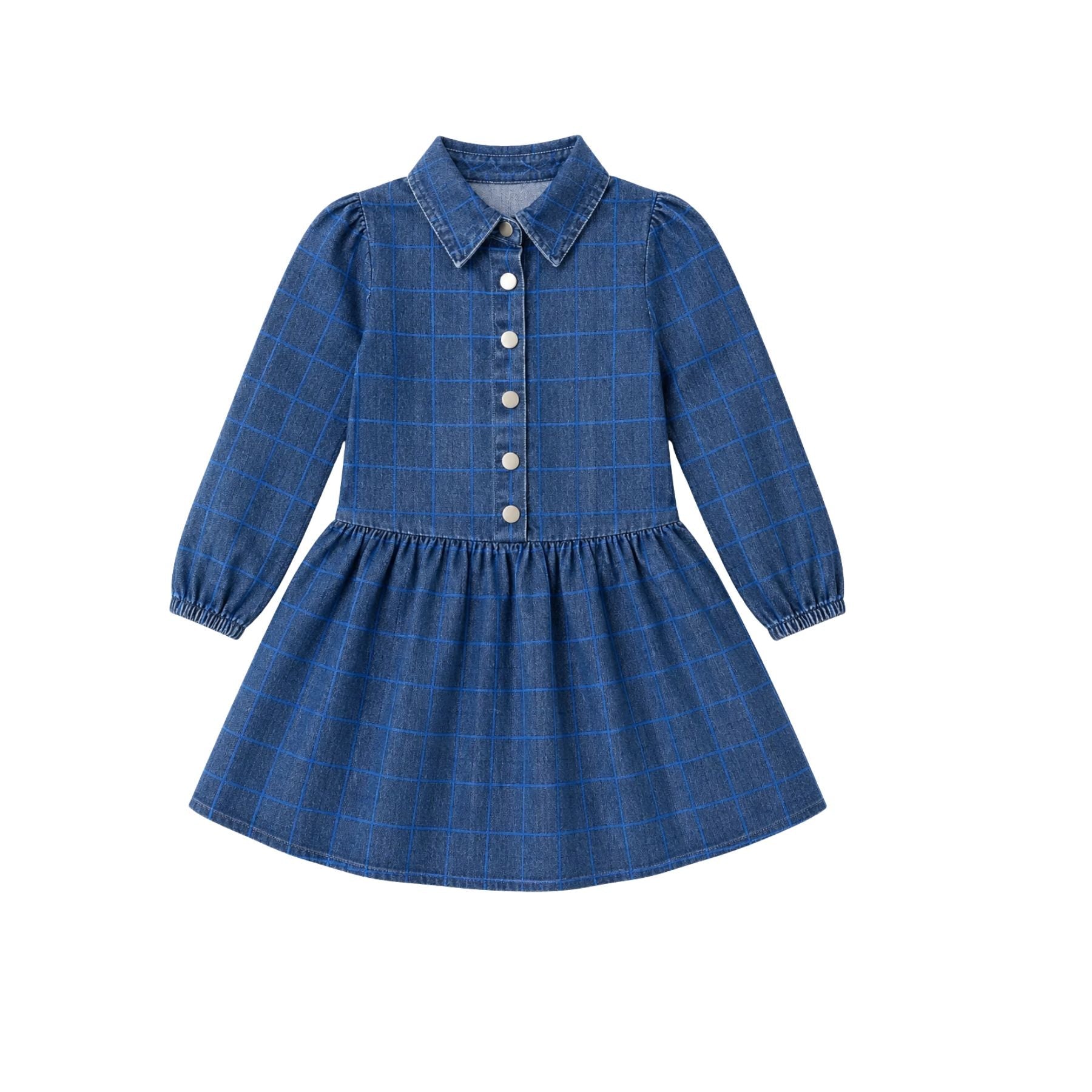 Printed Denim Dress