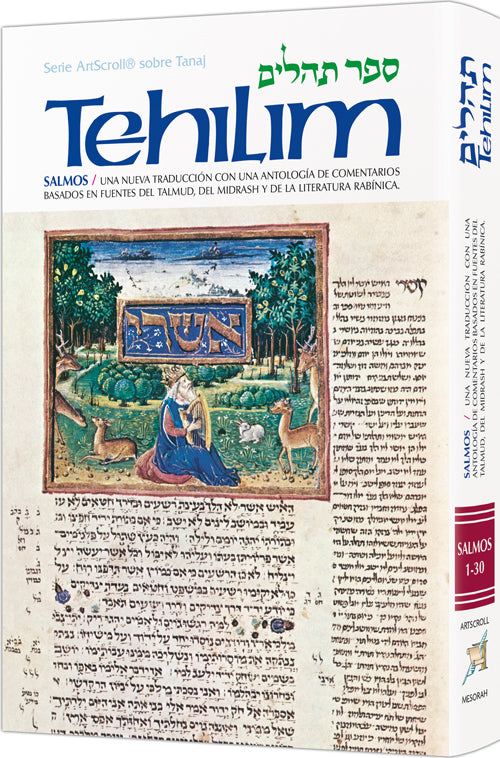 Spanish Tehillim vol. 1