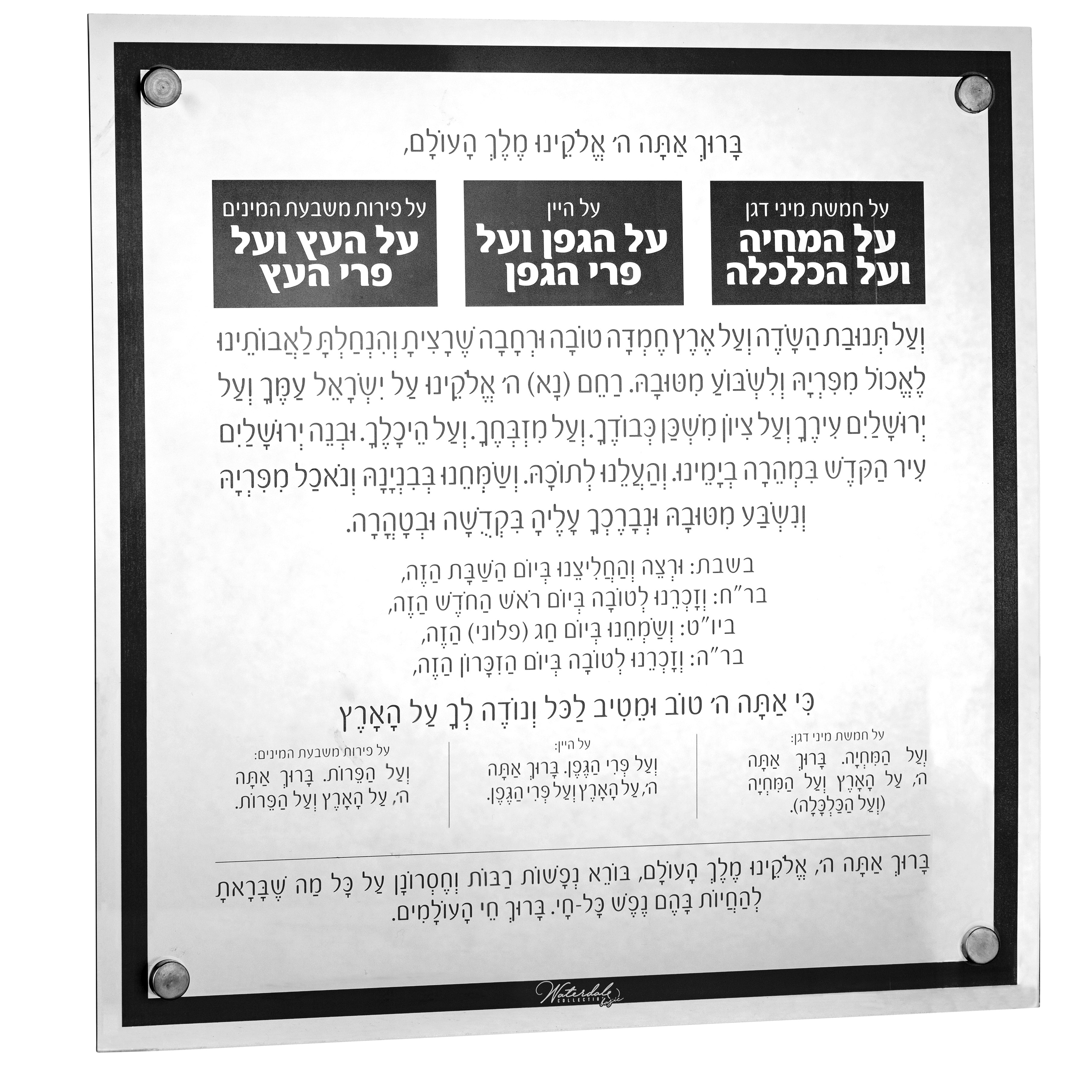 WC-Basics-Al-Hamichyah-Black-3.jpg
