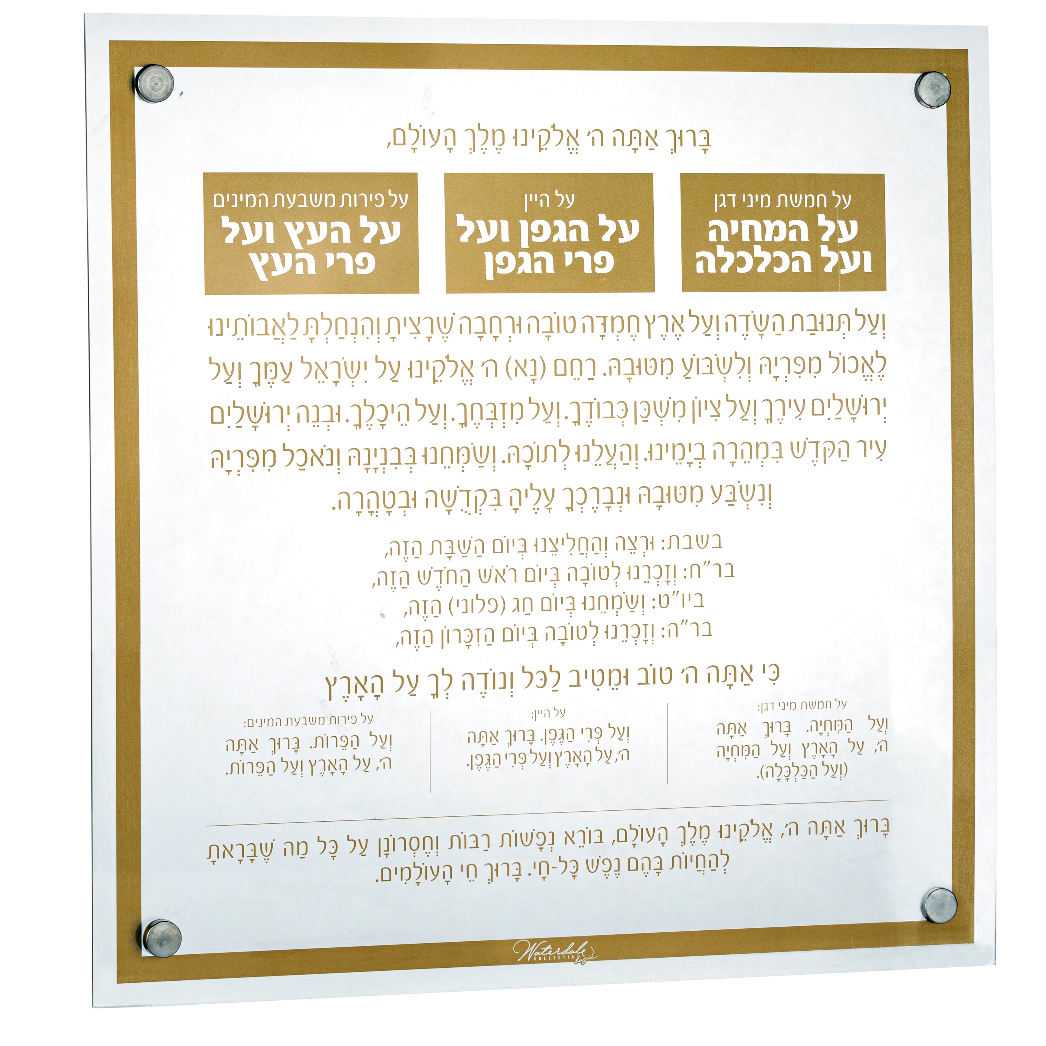 WC-Basics-Al-Hamichyah-Gold-3.jpg